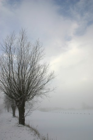 winter-in-holland-1396262